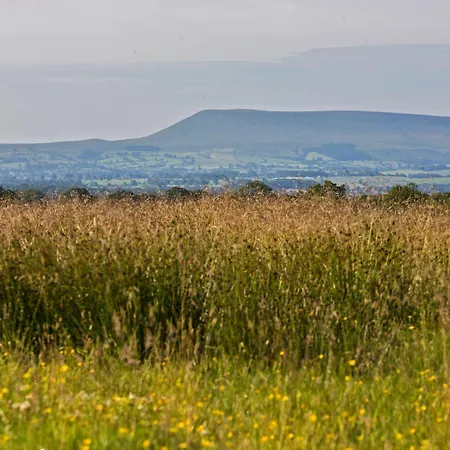 Dom wakacyjny Swaledale 5